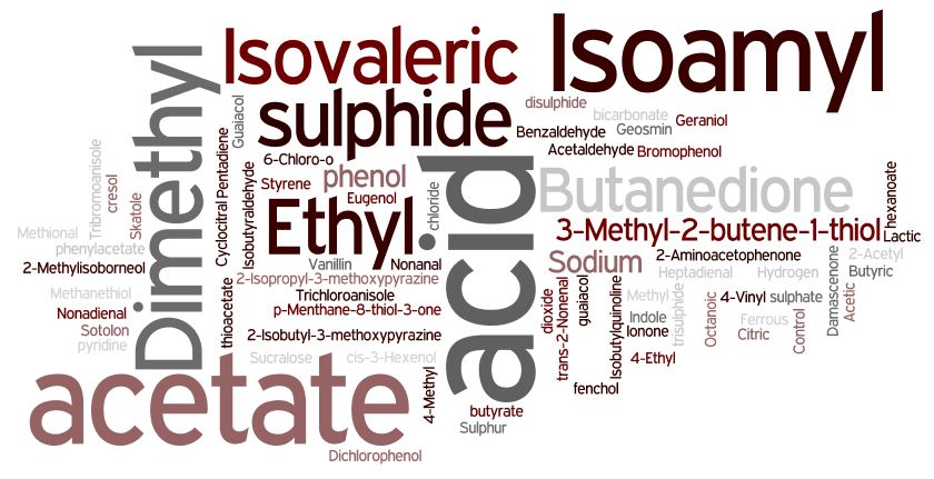 Flavour attribute word cloud - off-flavours, taints and positive notes